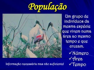 O vírus mata gorilas, chimpanzés e outros macacos. Porque registra alta mortalidade dos primatas, eles provavelmente não são os hospedeiros naturais. 
De onde vem a Ebola?  