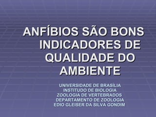 ANFÍBIOS SÃO BONS INDICADORES DE QUALIDADE DO AMBIENTE UNIVERSIDADE DE BRASÍLIA INSTITUDO DE BIOLOGIA ZOOLOGIA DE VERTEBRADOS  DEPARTAMENTO DE ZOOLOGIA EDIO GLEISER DA SILVA GONDIM  