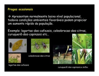Pragas ocasionais

 Apresentam normalmente baixo nível populacional,
todavia condições ambientais favoráveis podem propiciar
um aumento rápido da população.

Exemplo: lagartas-dos-cafezais, coleobrocas-dos-citros,
curuquerê-dos-capinzais etc..




                    coleobrocas-dos-citros



lagartas-dos-cafezais
                                             curuquerê-dos-capinzais e milho
 