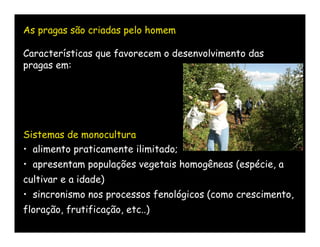 As pragas são criadas pelo homem

Características que favorecem o desenvolvimento das
pragas em:




Sistemas de monocultura
• alimento praticamente ilimitado;
• apresentam populações vegetais homogêneas (espécie, a
cultivar e a idade)
• sincronismo nos processos fenológicos (como crescimento,
floração, frutificação, etc..)
 
