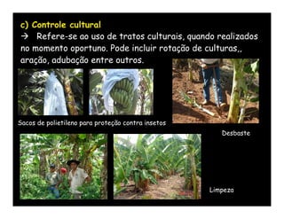 c) Controle cultural
 Refere-se ao uso de tratos culturais, quando realizados
no momento oportuno. Pode incluir rotação de culturas,,
aração, adubação entre outros.




Sacos de polietileno para proteção contra insetos
                                                       Desbaste




                                                    Limpeza
 