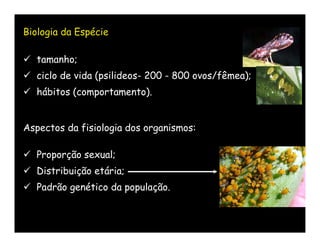 Biologia da Espécie

 tamanho;
 ciclo de vida (psilideos- 200 - 800 ovos/fêmea);
 hábitos (comportamento).


Aspectos da fisiologia dos organismos:

 Proporção sexual;
 Distribuição etária;
 Padrão genético da população.
 
