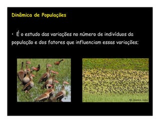Dinâmica de Populações


• É o estudo das variações no número de indivíduos da
população e dos fatores que influenciam essas variações;
 