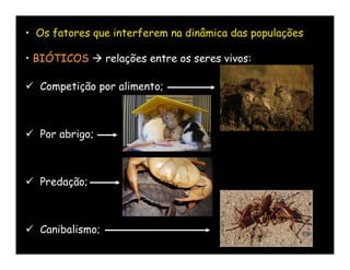 • Os fatores que interferem na dinâmica das populações

• BIÓTICOS  relações entre os seres vivos:

 Competição por alimento;



 Por abrigo;



 Predação;



 Canibalismo;
 