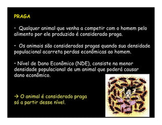 PRAGA

• Qualquer animal que venha a competir com o homem pelo
alimento por ele produzido é considerado praga.

• Os animais são considerados pragas quando sua densidade
populacional acarreta perdas econômicas ao homem.

• Nível de Dano Econômico (NDE), consiste na menor
densidade populacional de um animal que poderá causar
dano econômico.



 O animal é considerado praga
só a partir desse nível.
 
