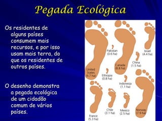 Pegada Ecológica
Os residentes de
  alguns países
  consumem mais
  recursos, e por isso
  usam mais terra, do
  que os residentes de
  outros países.


O desenho demonstra
  a pegada ecológica
  de um cidadão
  comum de vários
  países.
 