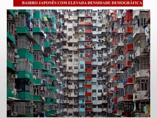BAIRRO JAPONÊS COM ELEVADA DENSIDADE DEMOGRÁFICA
 
