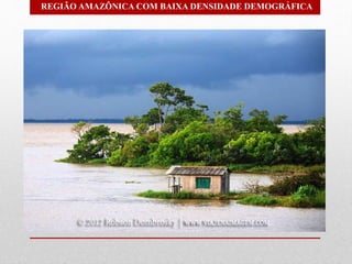 REGIÃO AMAZÔNICA COM BAIXA DENSIDADE DEMOGRÁFICA
 