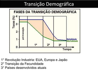 Transição Demográfica
1° Revolução Industria: EUA, Europa e Japão
2° Transição da Fecundidade
3° Países desenvolvidos atuais
 