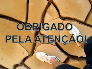 População do Brasil