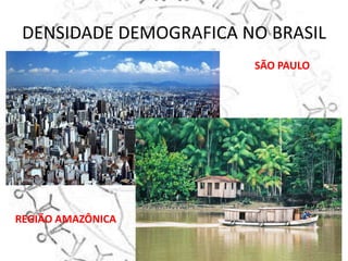 DENSIDADE DEMOGRAFICA NO BRASIL
                        SÃO PAULO




REGIÃO AMAZÔNICA
 