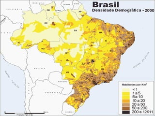 População brasileira