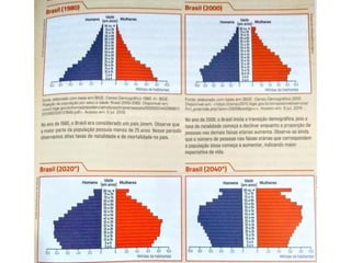 ESTRUTURA DA POPULAÇÃO
BRASILEIRA
 