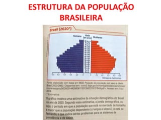 ESTRUTURA DA POPULAÇÃO
BRASILEIRA
 