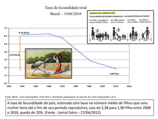 A taxa de fecundidade do país, estimada com base no número médio de filhos que uma 
mulher teria até o fim de seu período reprodutivo, caiu de 2,38 para 1,90 filho entre 2000 
e 2010, queda de 20%. (Fonte : Jornal Extra – 27/04/2012) 
 