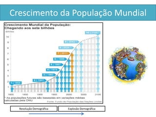 Crescimento da População Mundial 
Revolução Demográfica Explosão Demográfica 
 