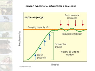 PADRÃO EXPONENCIAL NÃO REFLETE A REALIDADE
História de vida da
espécie
DN/Dt = rN (K-N)/K
 