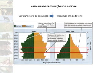 Estrutura etária da população Indivíduos em idade fértil
CRESCIMENTO E REGULAÇÃO POPULACIONAL
 