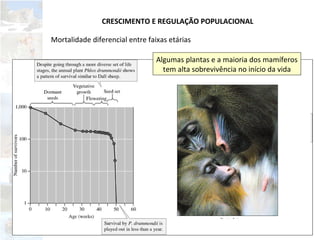 Mortalidade diferencial entre faixas etárias
Algumas plantas e a maioria dos mamíferos
tem alta sobrevivência no início da vida
CRESCIMENTO E REGULAÇÃO POPULACIONAL
 