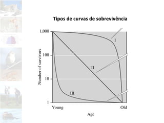 Tipos de curvas de sobrevivência
 
