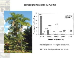 DISTRIBUIÇÃO AGREGADA EM PLANTAS
Distribuição das condições e recursos
Processo de dispersão de sementes
 