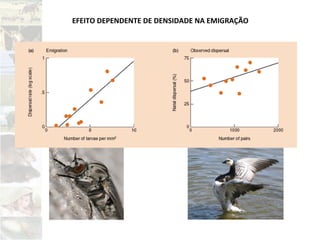 EFEITO DEPENDENTE DE DENSIDADE NA EMIGRAÇÃO
 