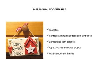 MAS TODO MUNDO DISPERSA?
 Filopatria
 Vantagens da familiaridade com ambiente
 Competição com parentes
 Agressividade em novos grupos
 Mais comum em fêmeas
 