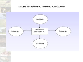 FATORES INFLUENCIANDO TAMANHO POPULACIONAL
 