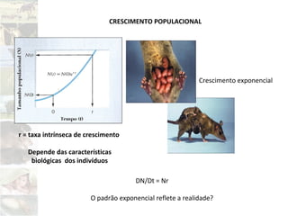 Crescimento exponencial
DN/Dt = Nr
O padrão exponencial reflete a realidade?
CRESCIMENTO POPULACIONAL
r = taxa intrínseca de crescimento
Depende das características
biológicas dos indivíduos
 