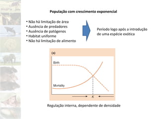 População com crescimento exponencial
• Não há limitação de área
• Ausência de predadores
• Ausência de patógenos
• Habitat uniforme
• Não há limitação de alimento
Período logo após a introdução
de uma espécie exótica
Regulação interna, dependente de densidade
 