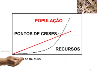 POPULAÇÃO
PONTOS DE CRISES
RECURSOS
TEORIA DE MALTHUS

10

 