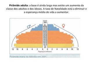 Pirâmide adulta: a base é ainda larga mas existe um aumento da 
classe dos adultos e dos idosos. A taxa de Natalidade está a diminuir e 
a esperança média de vida a aumentar.

 