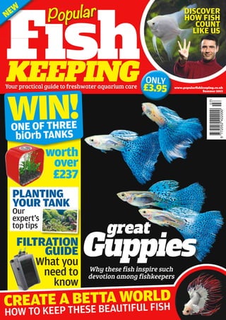 www.popularﬁshkeeping.co.uk
Summer 2013
worth
over
£237
FishKEEPING
Guppies
great
Fish
Popular
Your practical guide to freshwater aquarium care
FILTRATION
GUIDE
What you
need to
know
CREATE A BETTA WORLD
PLANTING
YOUR TANK
Our
expert’s
top tips
WIN!ONE OF THREE
biOrb TANKS
HOW TO KEEP THESE BEAUTIFUL FISH
DISCOVER
HOW FISH
COUNT
LIKE US
Why these fish inspire such
devotion among fishkeepers
FishFish
NEW
KEEPING ONLY
£3.95
 