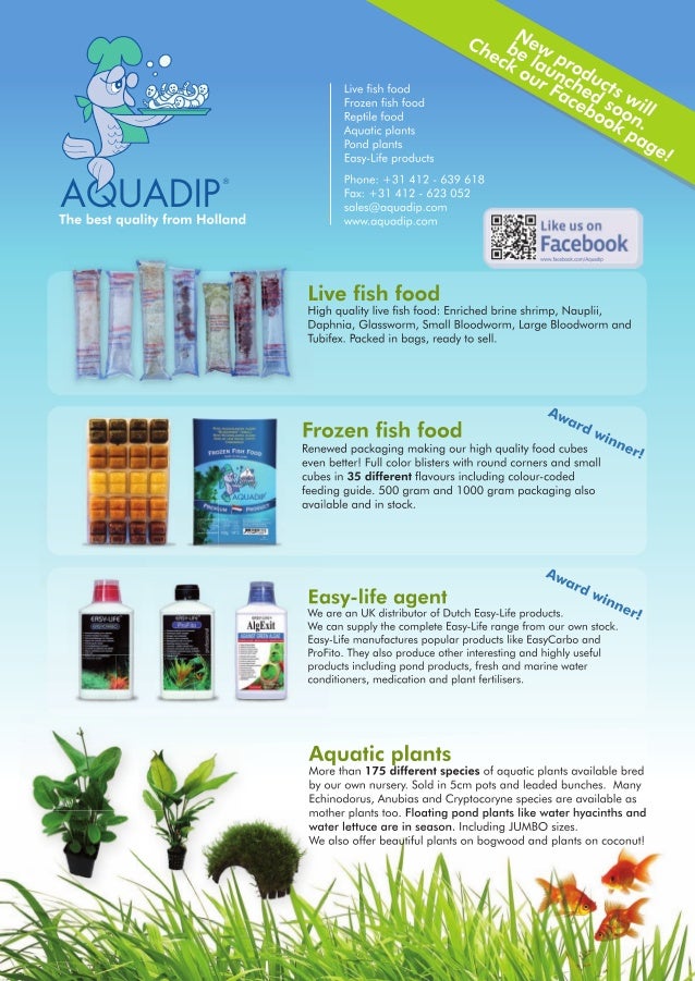 Whats Popular 2013 | whats popular for 2013 summer popular fish keeping 2013 summer Whats Popular 2013 | whats popular for 2013 summer popular fish keeping 2013 summer