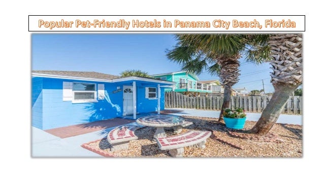 Panama City Beach Hotels >> Popular Pet Friendly Hotels In Panama City Beach Florida Panama City Beach Hotels >> Popular Pet Friendly Hotels In Panama City Beach Florida