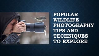 POPULAR
WILDLIFE
PHOTOGRAPHY
TIPS AND
TECHNIQUES
TO EXPLORE
 