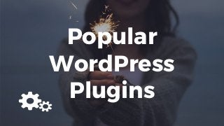 Popular
WordPress
Plugins
 