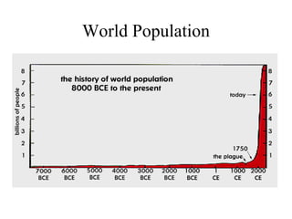 World Population
 
