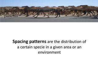 Individuals in populations exhibit different spacing
patterns
Spacing patterns are the distribution of
a certain specie in a given area or an
environment
 
