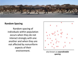 Individuals in populations exhibit different spacing
patterns
Random Spacing
Random spacing of
individuals within population
occurs when they do not
interact strongly with one
another and when they are
not affected by nonuniform
aspects of their
environment. also known as unpredictable
spacing
 
