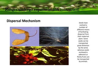 Ranges undergo expansion and contraction
Dispersal Mechanism Seeds have
evolved a
number of
different means
of facilitating
dispersal from
their maternal
plant. Some
seeds can be
transported
great distances
by the wind,
whereas seeds
enclosed in
adherent or
fleshy fruits can
be transported
by animals.
 