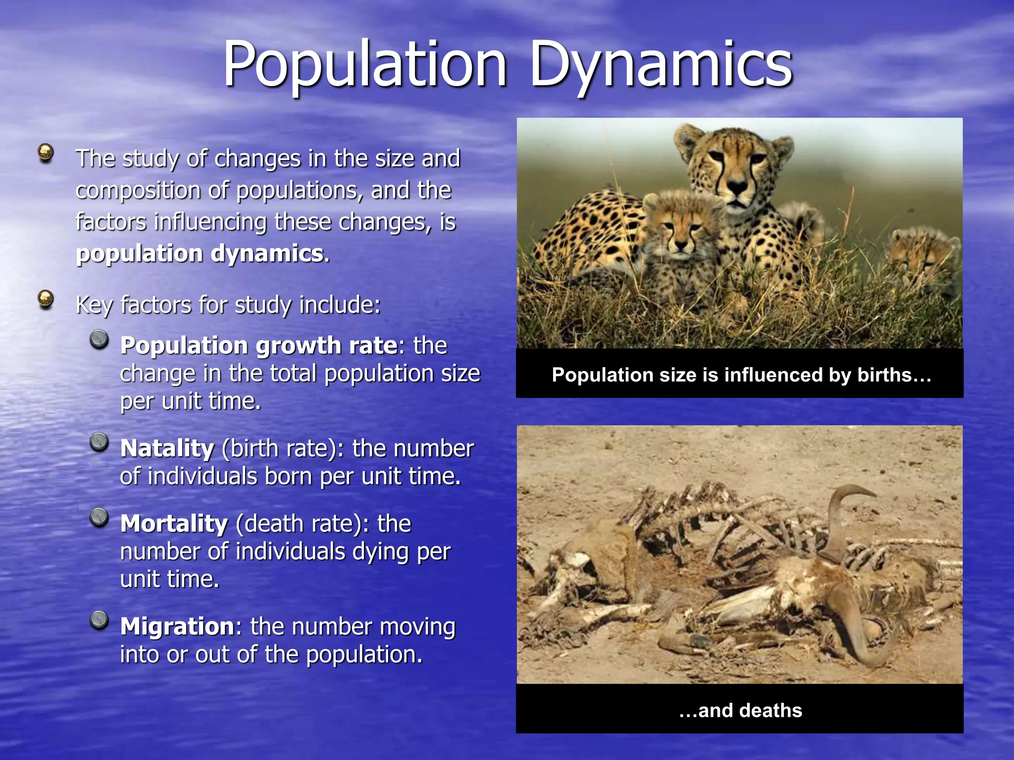 STUDYING POPULATION POWERPOINT PRESENTATION | PPT