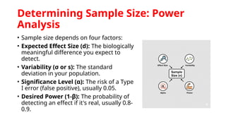 Statisticien Sample Size Power Risk population distribution sampling mean median | PPTX