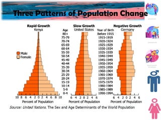 Population-Composition-Age-and-Sex.pptxn | PPTX