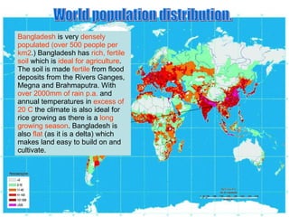 World population distribution. Bangladesh  is very  densely populated (over 500 people per km2 .) Bangladesh has  rich, fertile soil  which is  ideal for agriculture . The soil is made  fertile  from flood deposits from the Rivers Ganges, Megna and Brahmaputra. With  over 2000mm of rain p.a.  and annual temperatures in  excess of 20 C  the climate is also ideal for rice growing as there is a  long growing season . Bangladesh is also  flat  (as it is a delta) which makes land easy to build on and cultivate. 