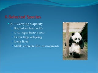 K-Selected Species K = Carrying Capacity Reproduce later in life Low  reproductive rates Fewer large offspring Long-lived Stable or predictable environments 