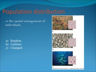 Population distribution … is the spatial arrangement of individuals. Random Uniform Clumped  