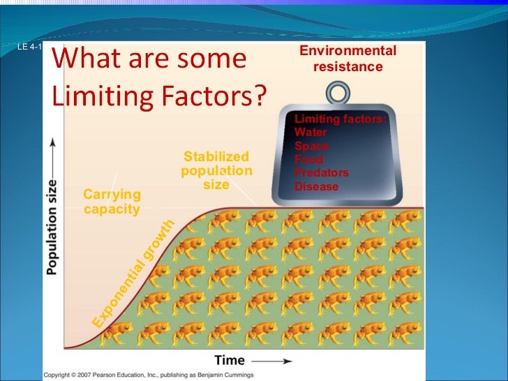 Population Ecology Population Ecology