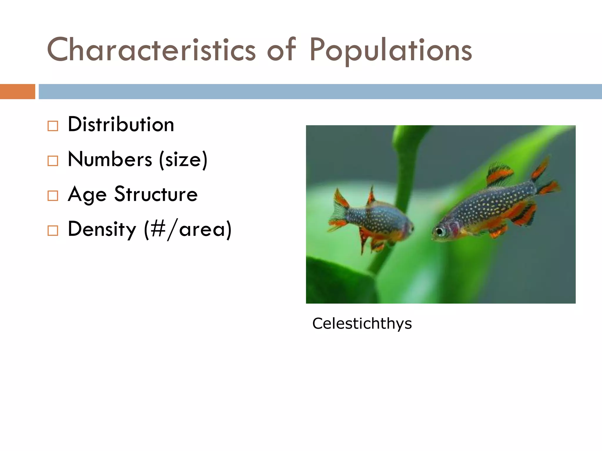 Population Ecology