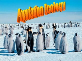 Population Ecology 